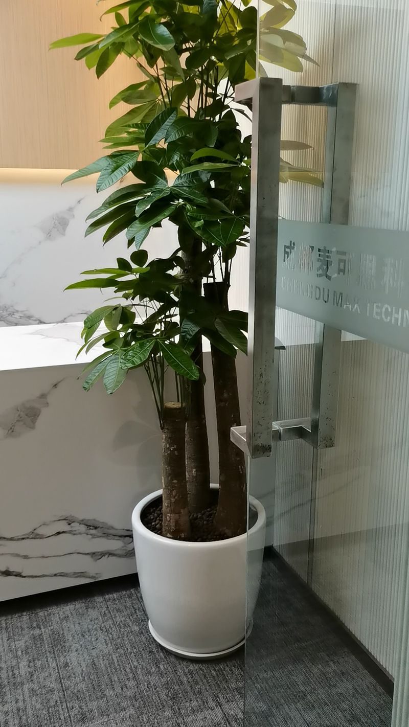 视频封面1