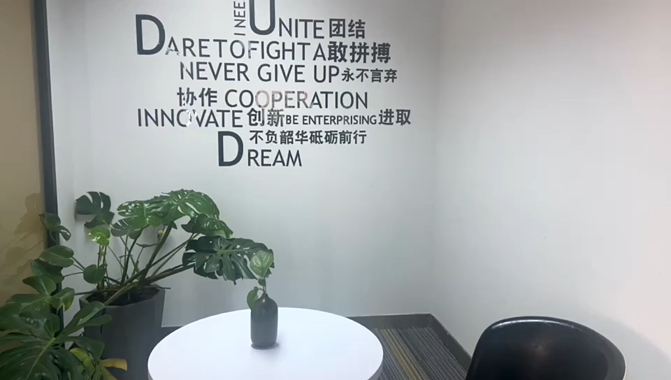 视频封面1