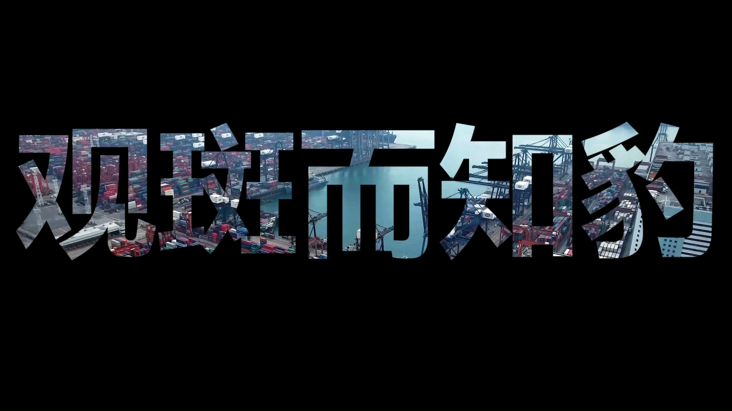 视频封面1
