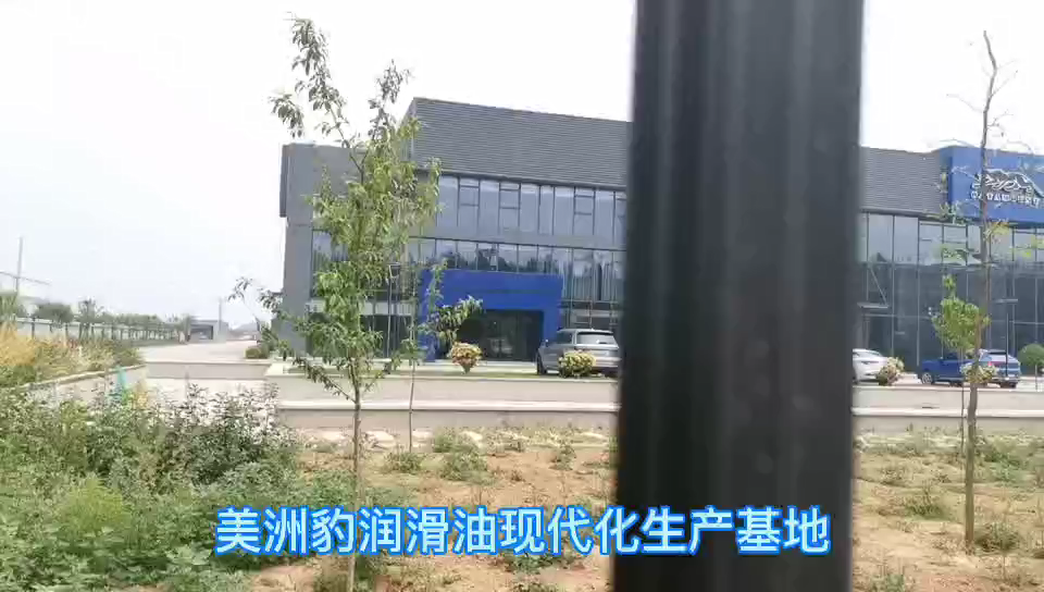 视频封面1