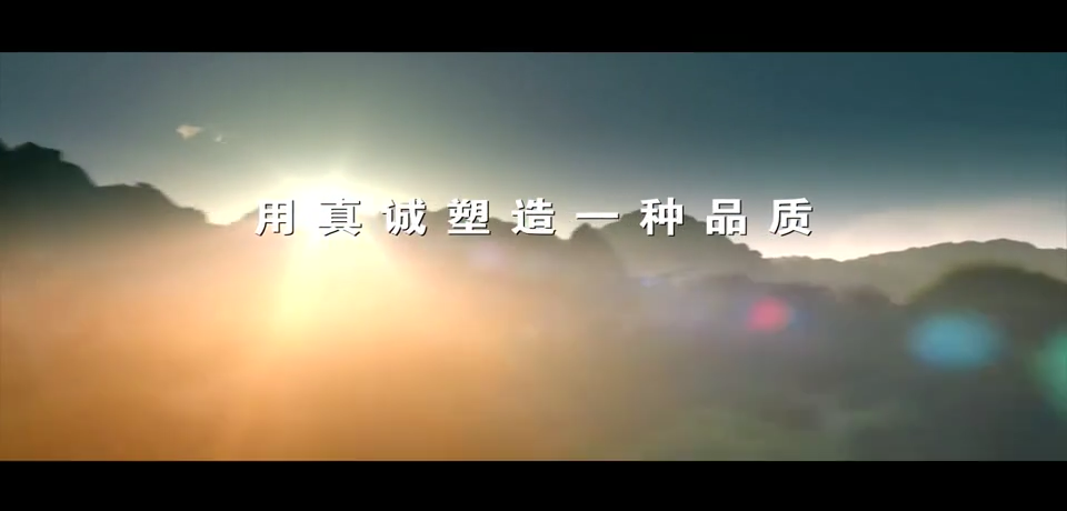 视频封面1