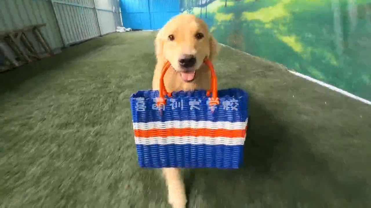 视频封面1
