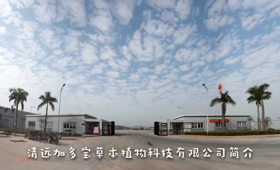 视频封面2