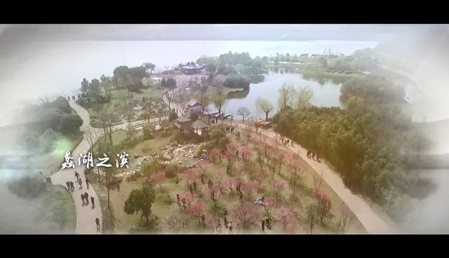 视频封面4