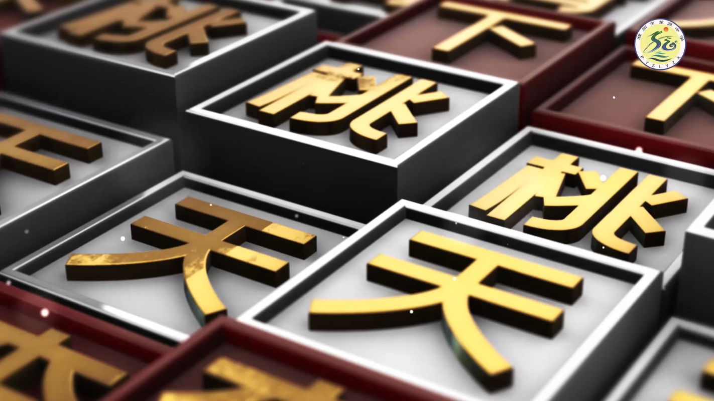 濮阳县龙源实验学校