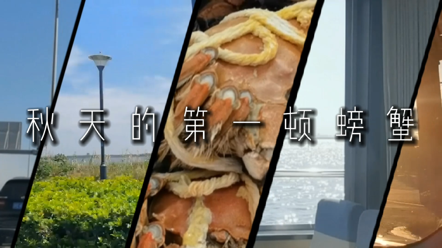 视频封面1