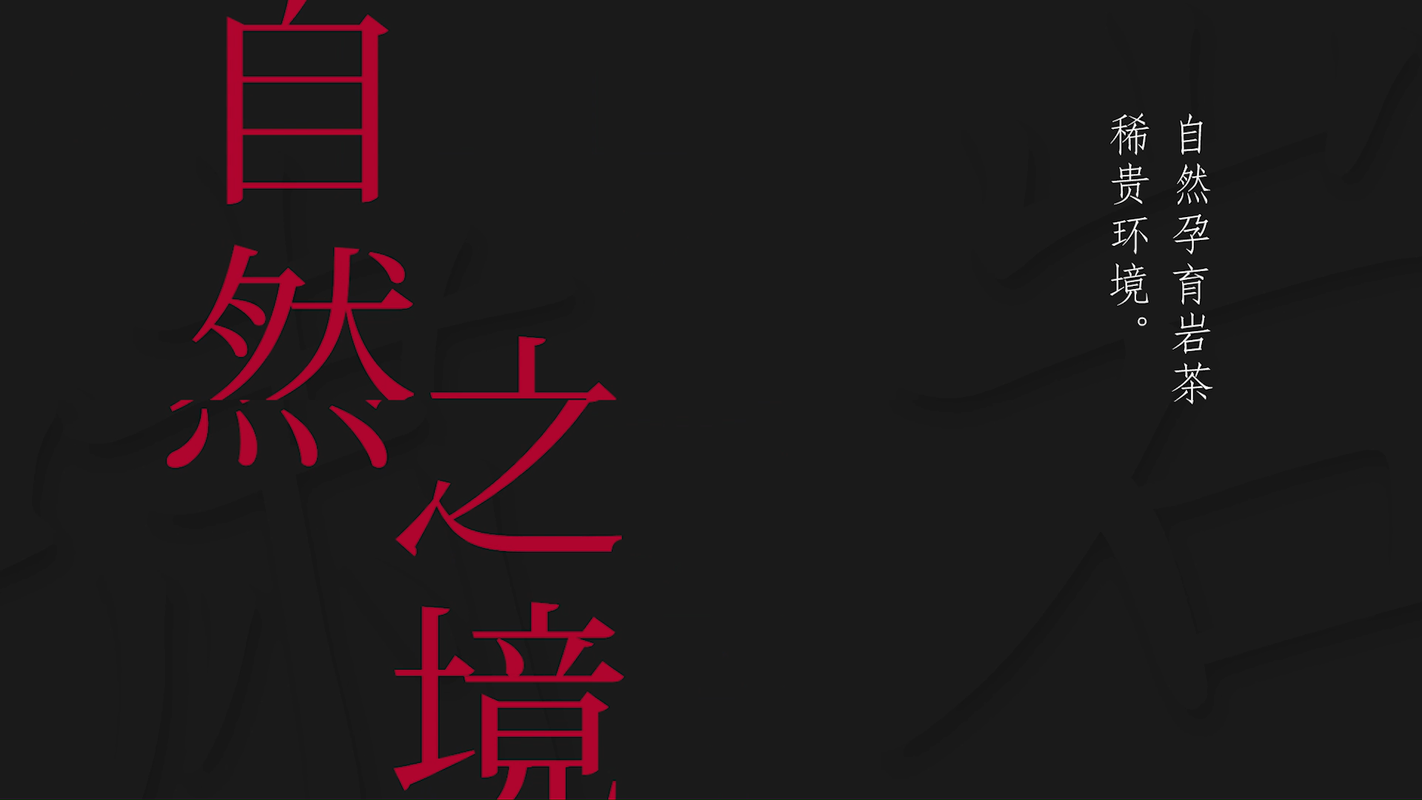 视频封面1