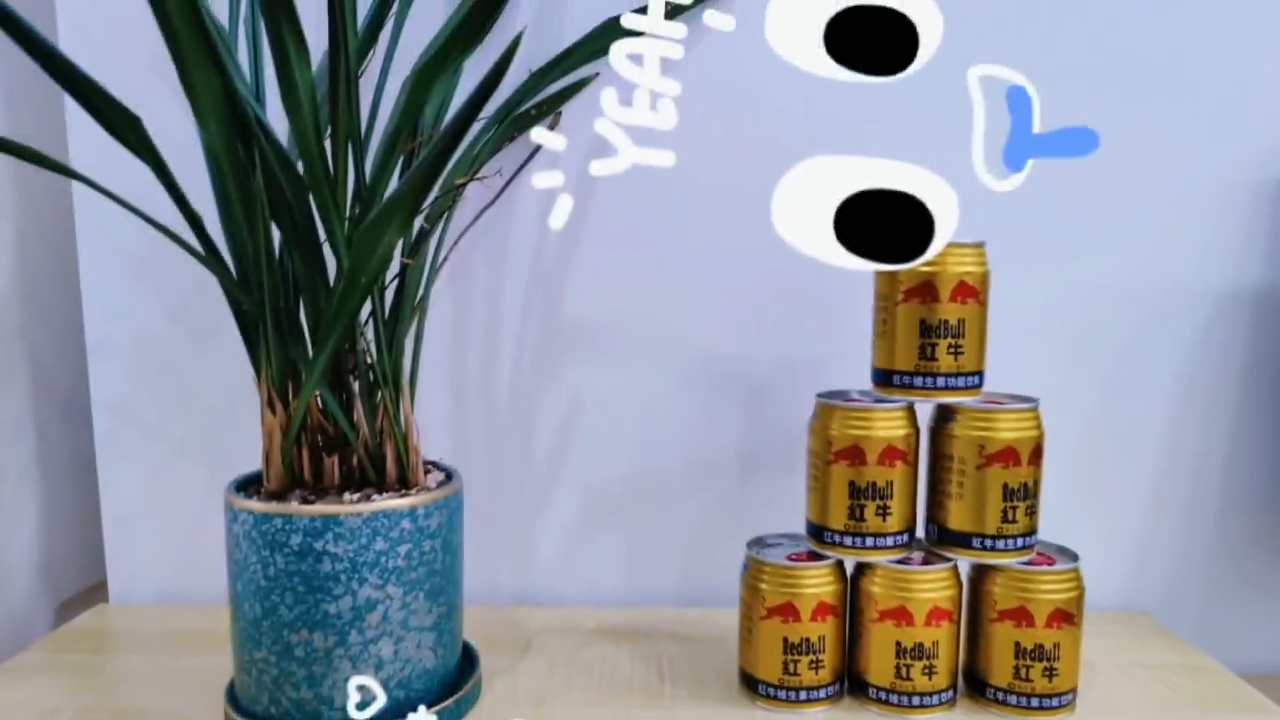 视频封面5