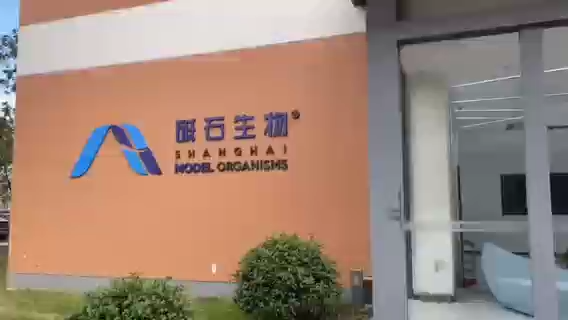 视频封面1