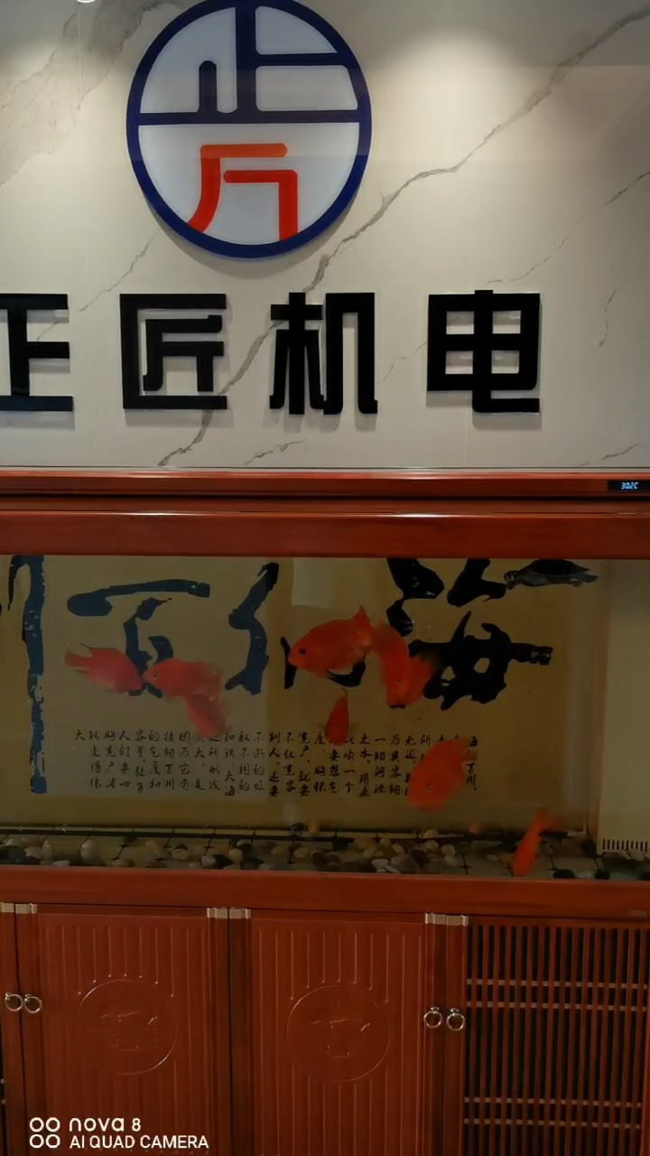视频封面1