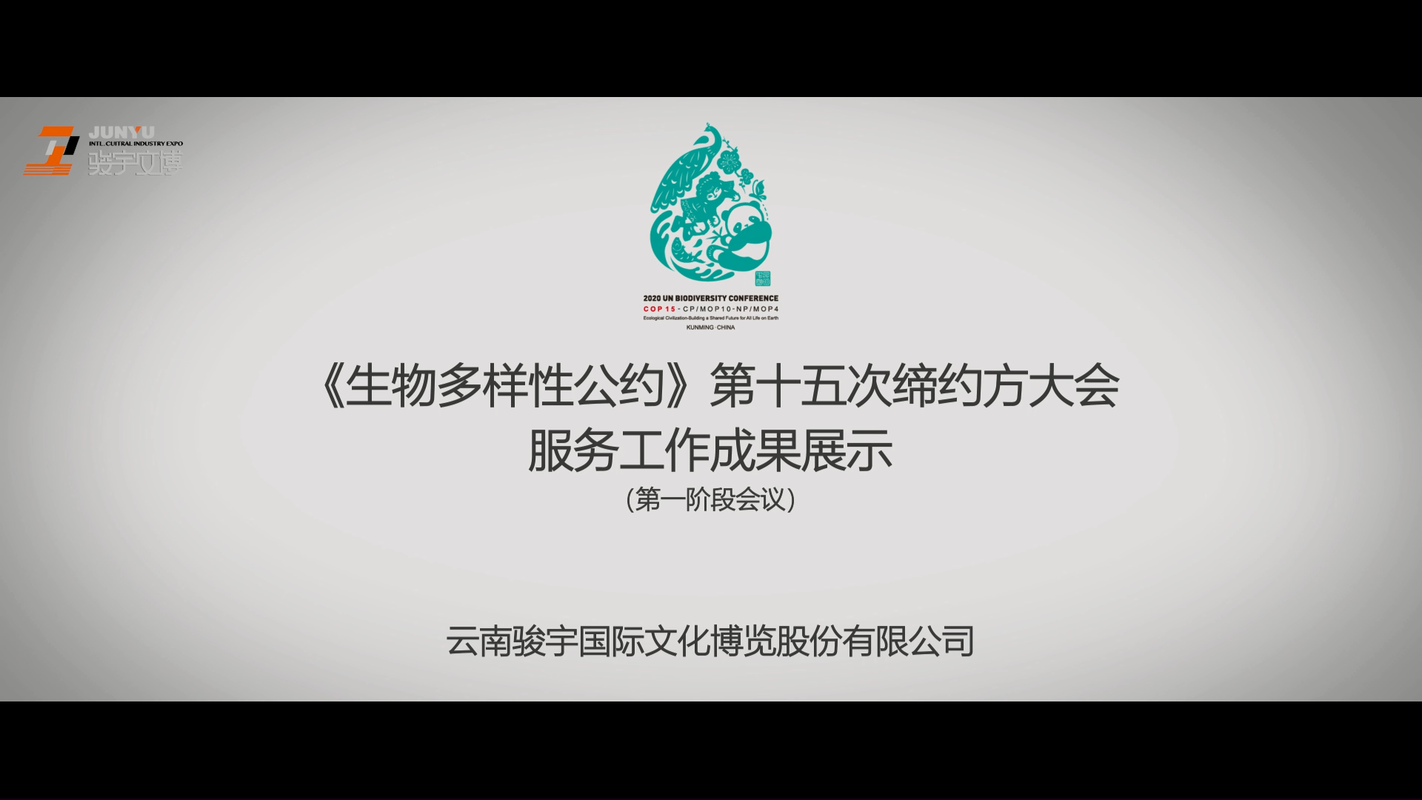 视频封面2