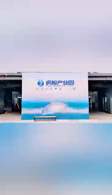视频封面1
