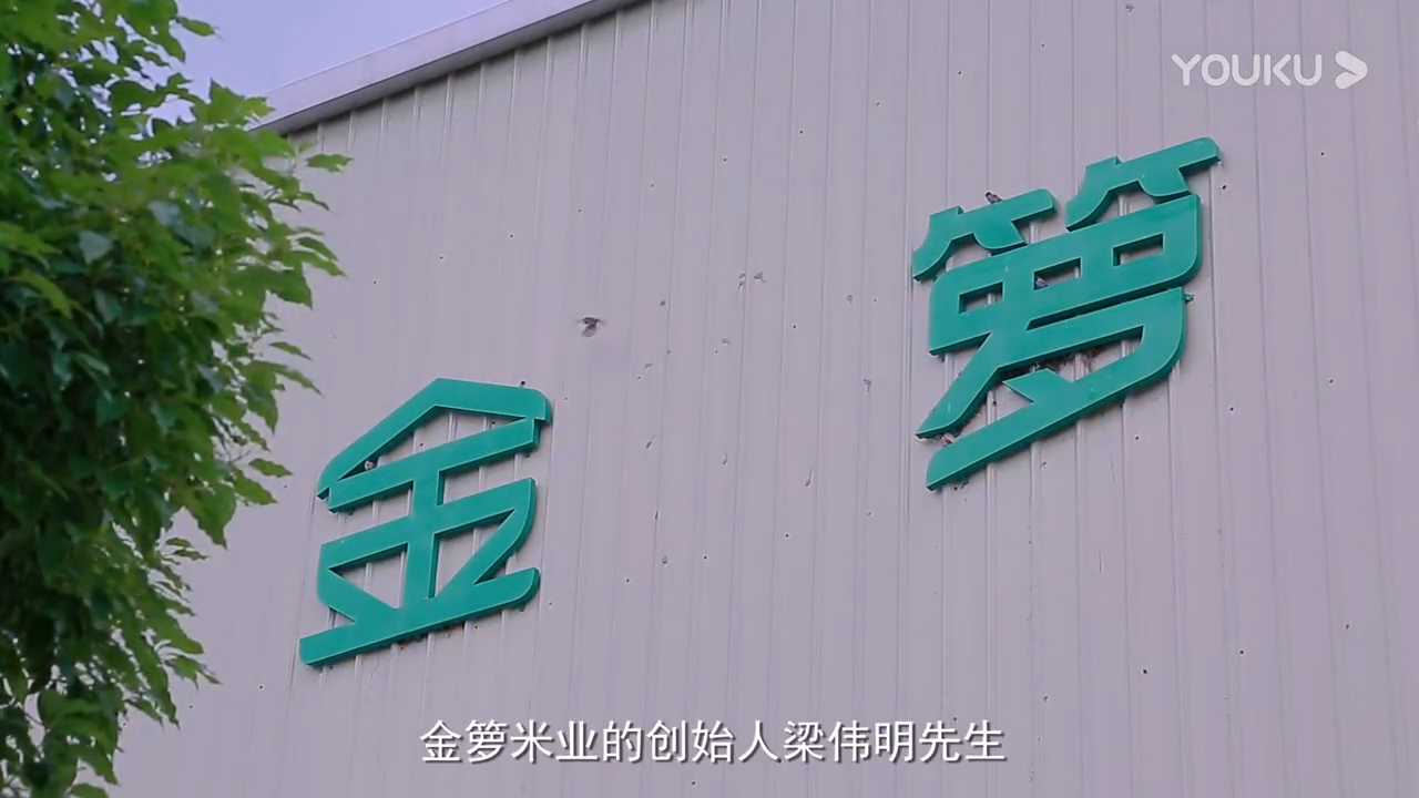 视频封面1