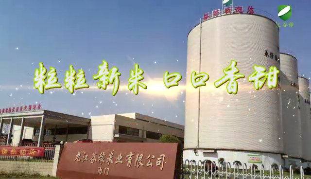 视频封面1