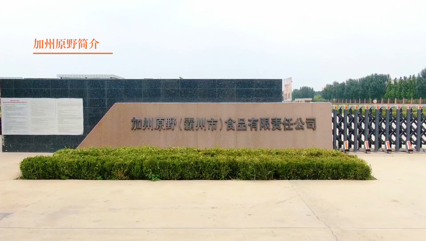 视频封面1