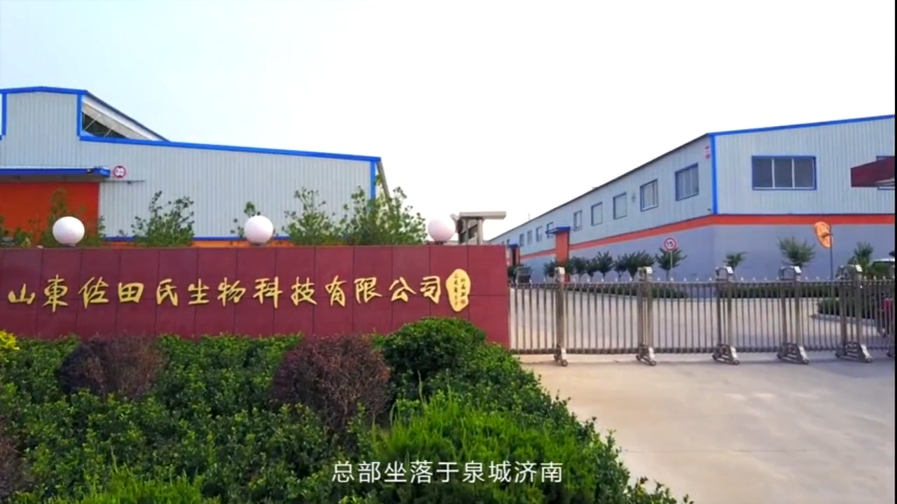 视频封面1