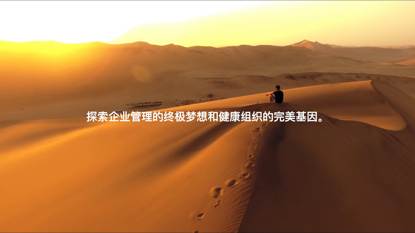 视频封面1
