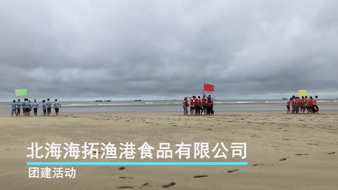 视频封面3