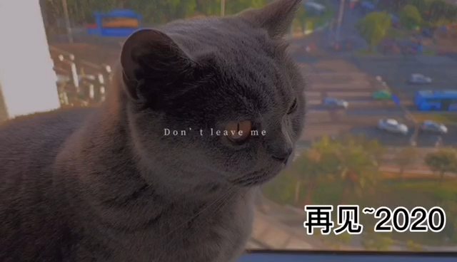 视频封面1