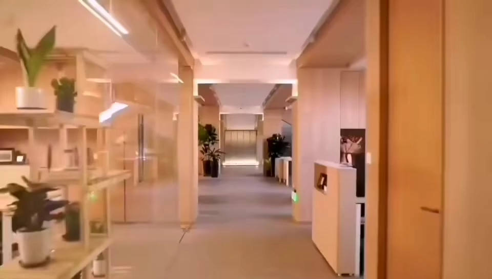 视频封面1