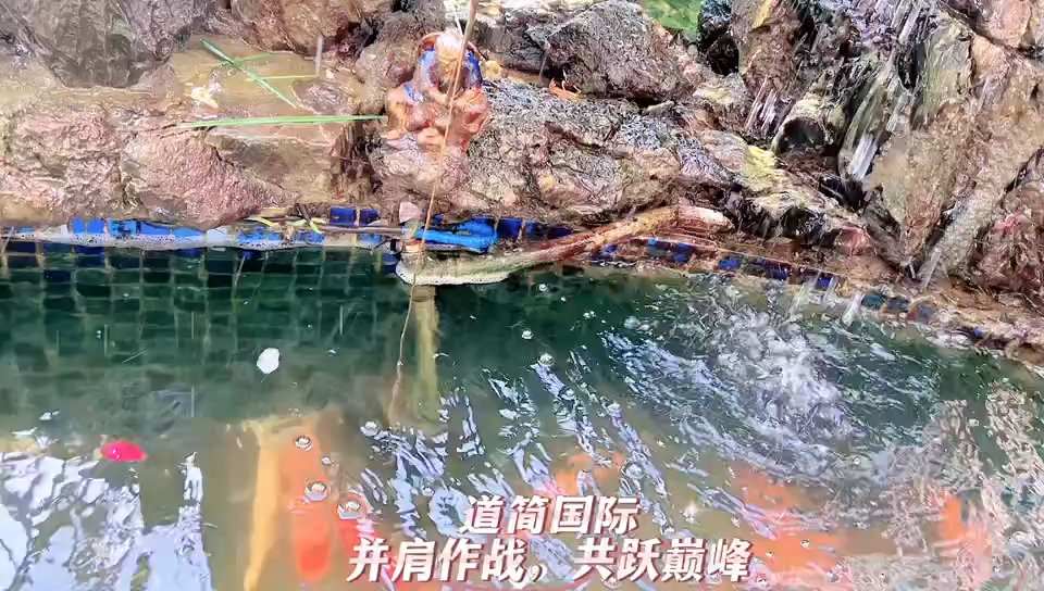 视频封面2
