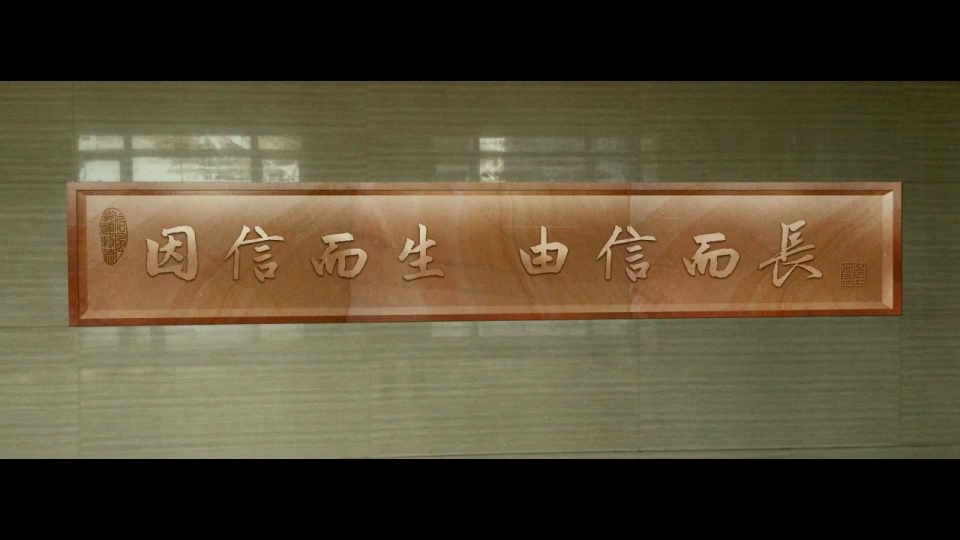 视频封面1