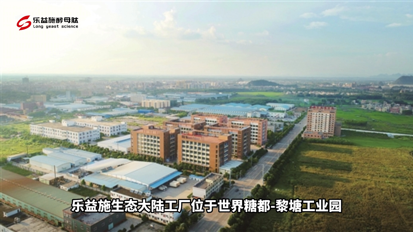 视频封面1
