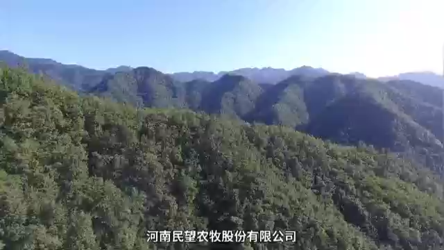 视频封面2