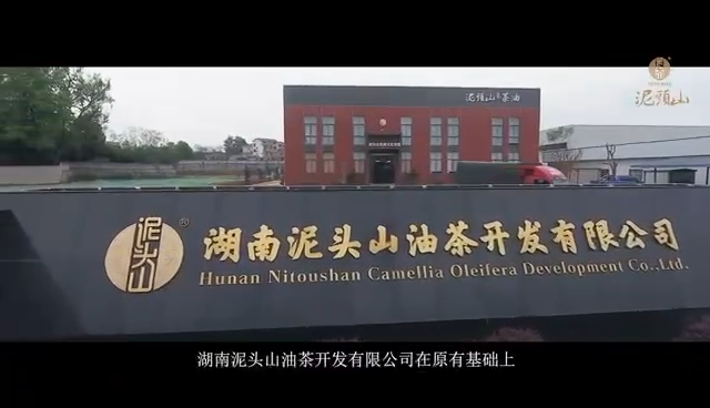 视频封面1
