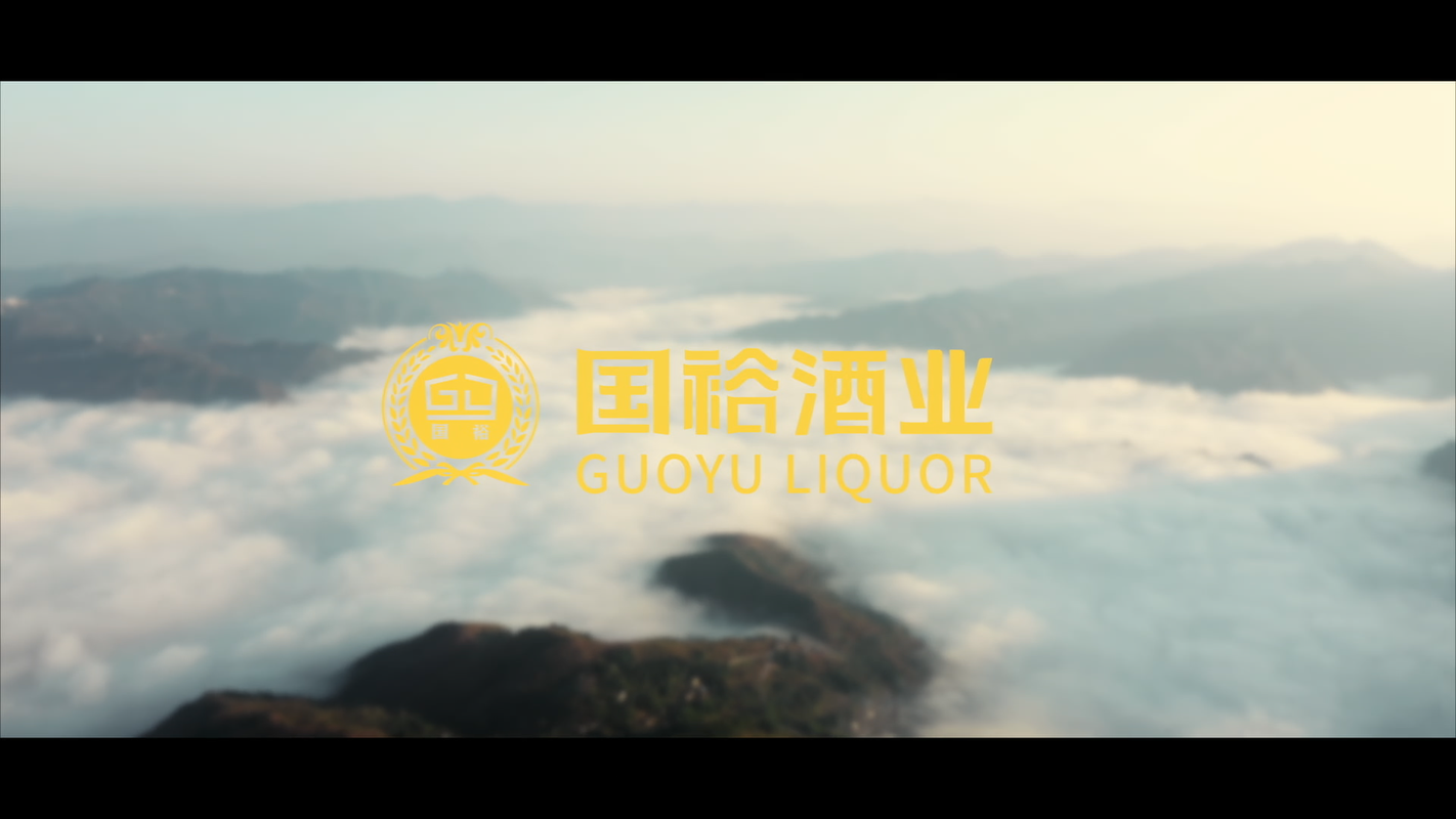 视频封面1