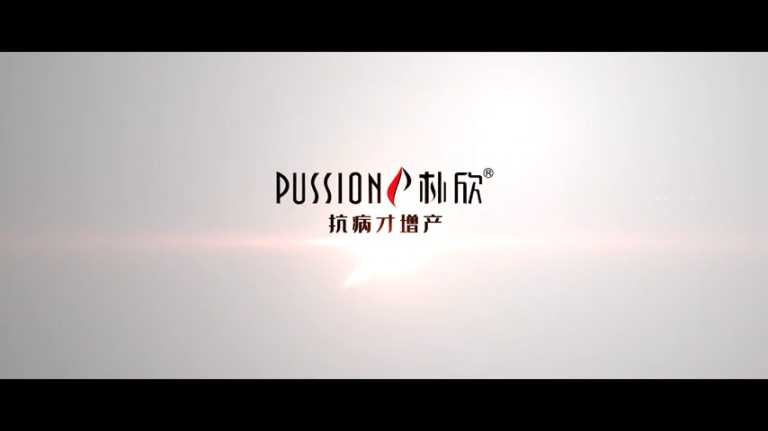 视频封面2