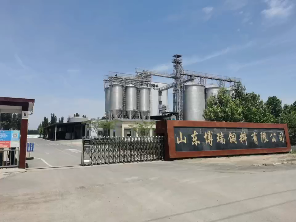 视频封面2