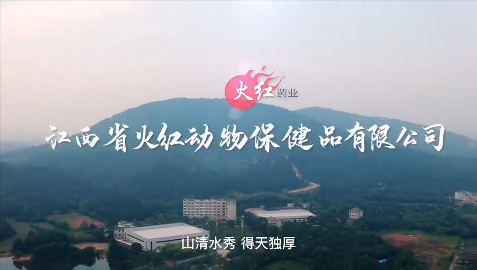 视频封面1