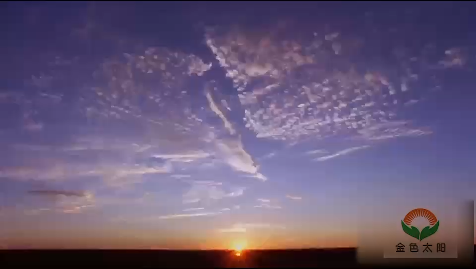 视频封面1