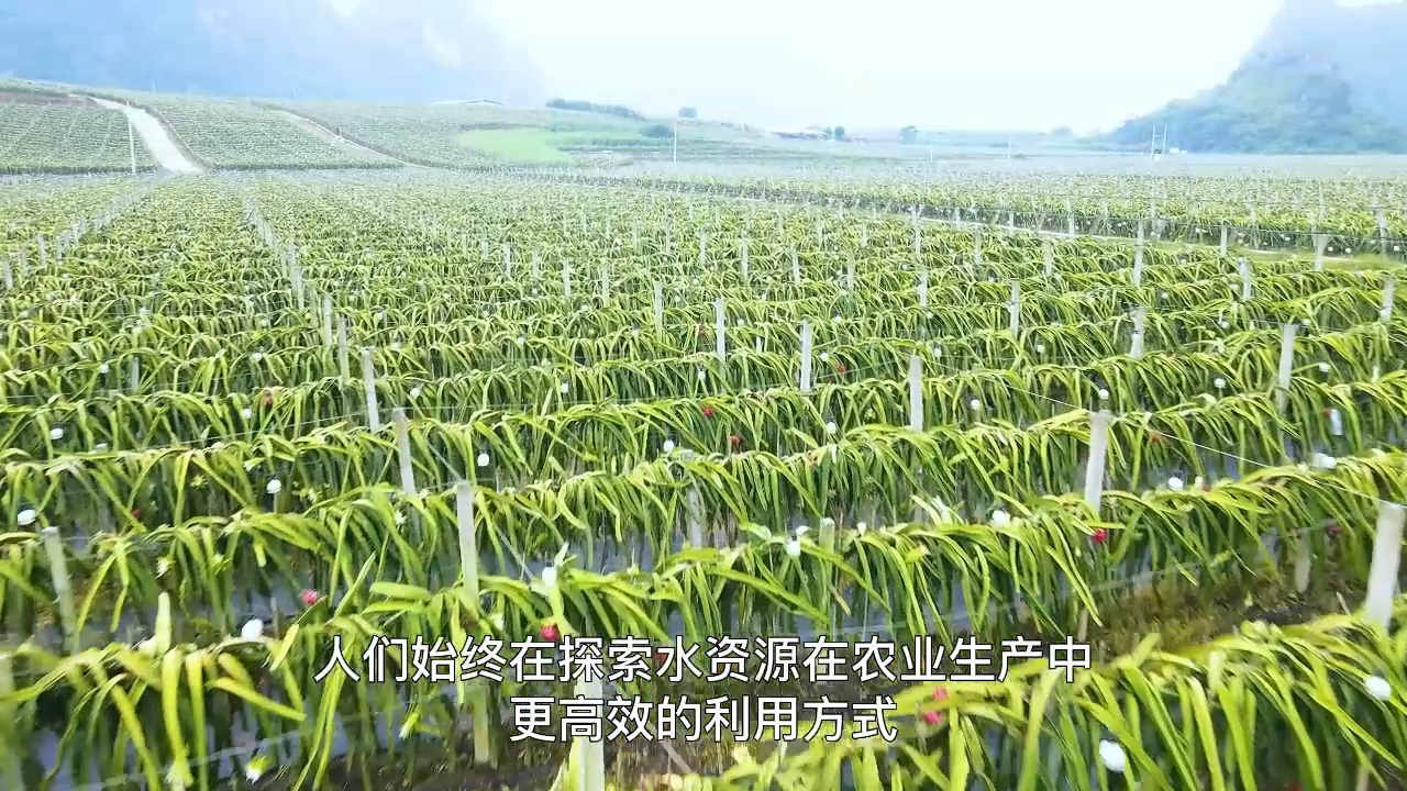视频封面1