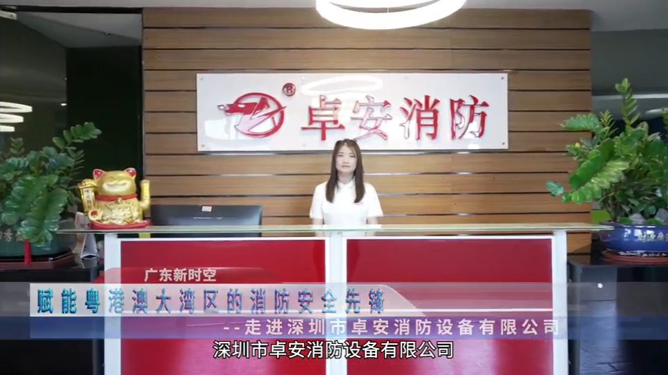 视频封面1