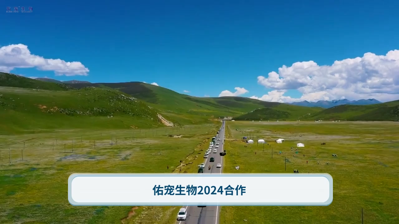 视频封面1