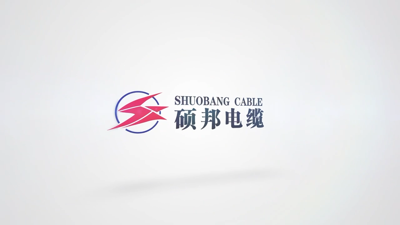 视频封面1
