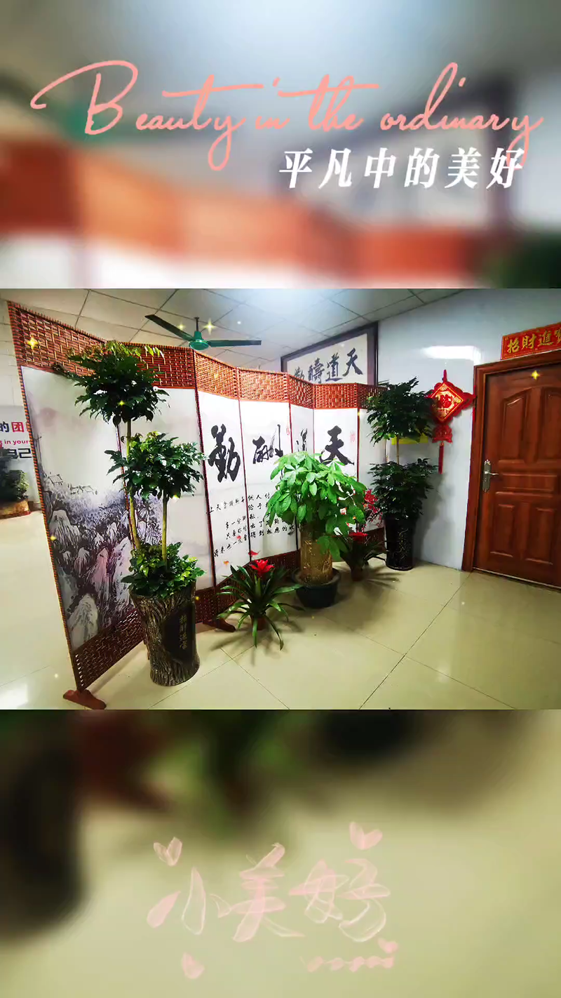 视频封面1