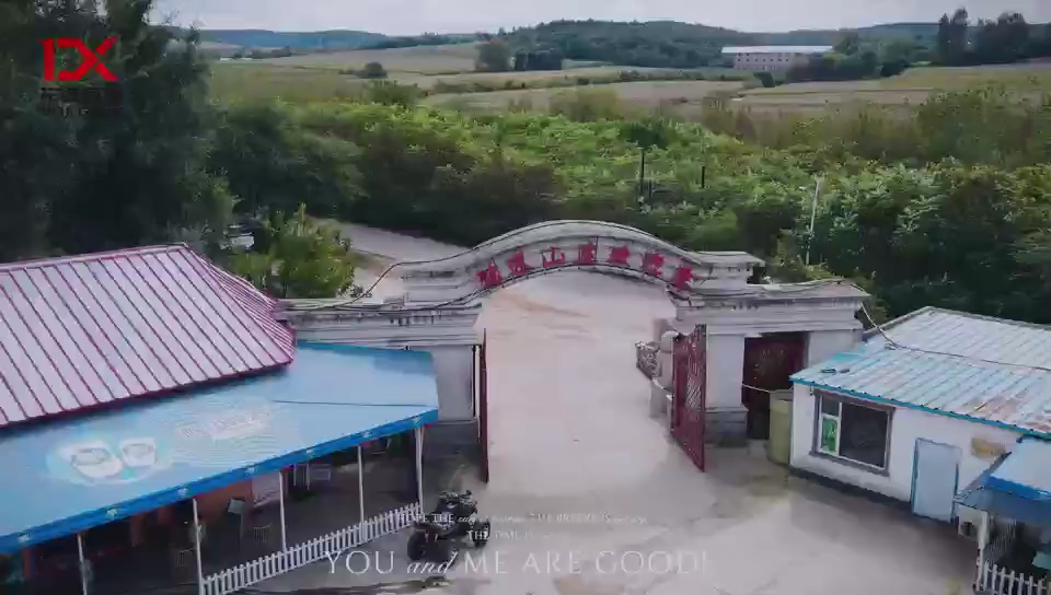 视频封面4