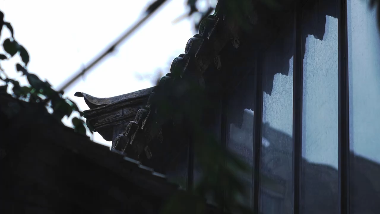 视频封面1