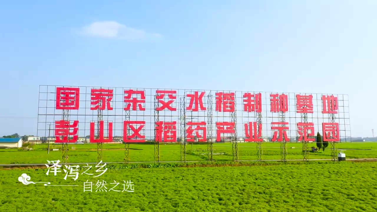 视频封面1