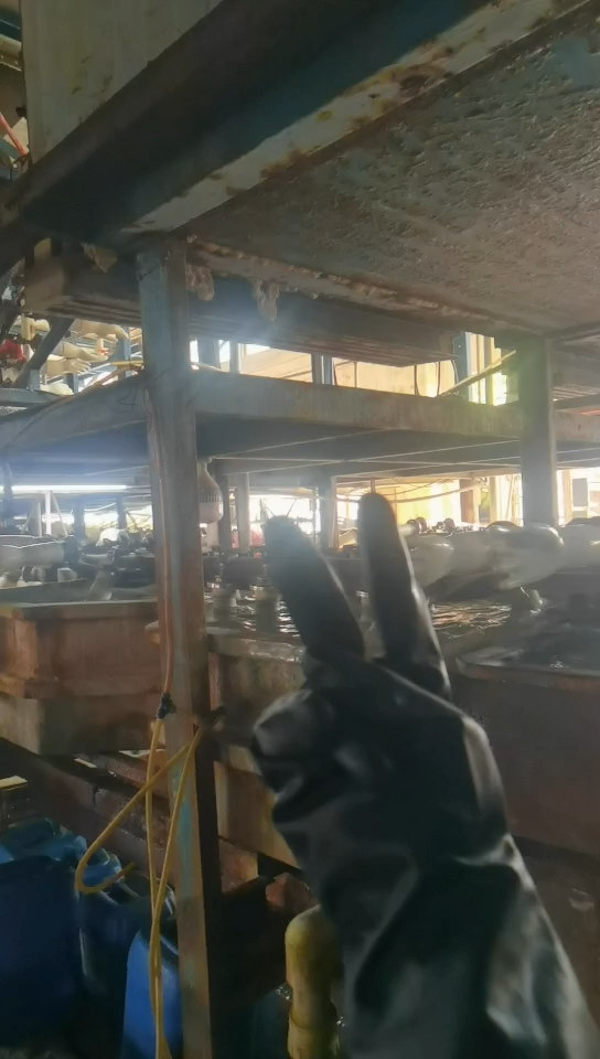 视频封面1