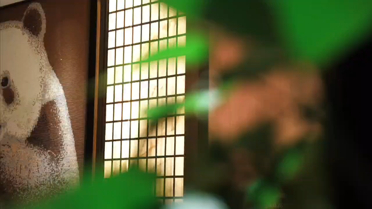视频封面1