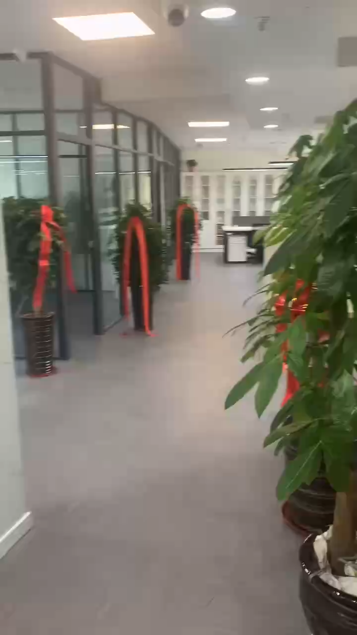 视频封面1