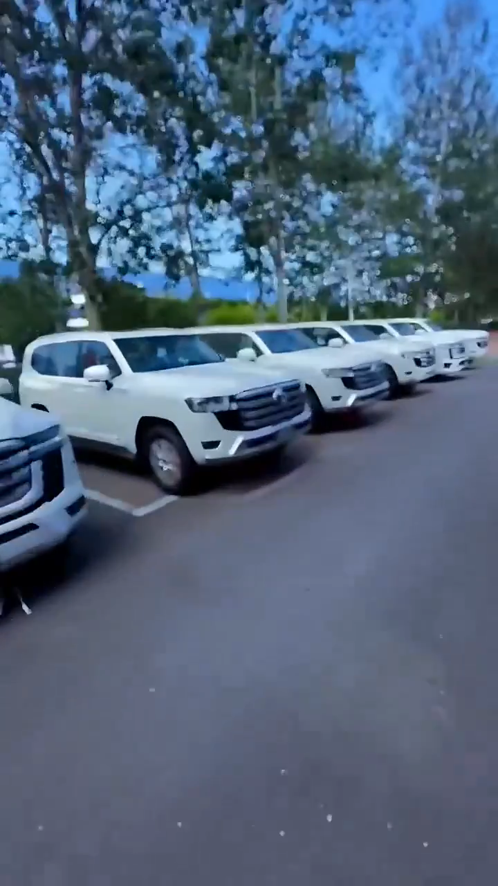 视频封面1