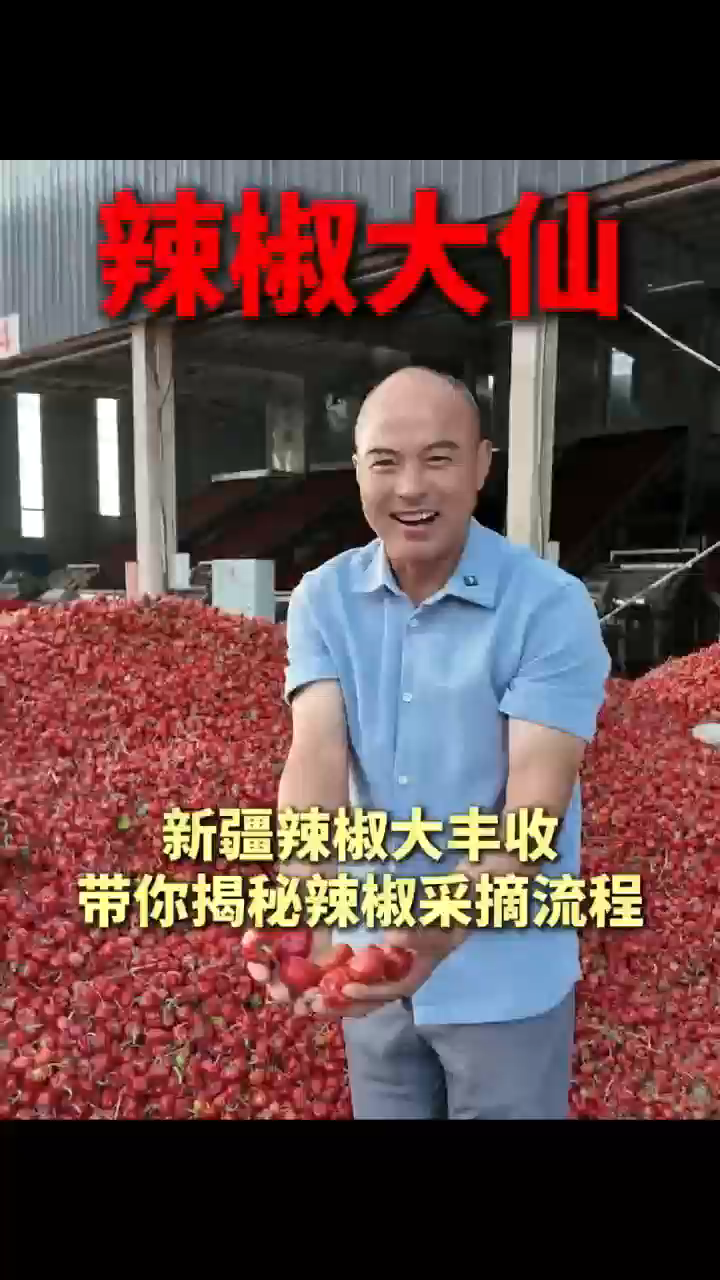 视频封面1