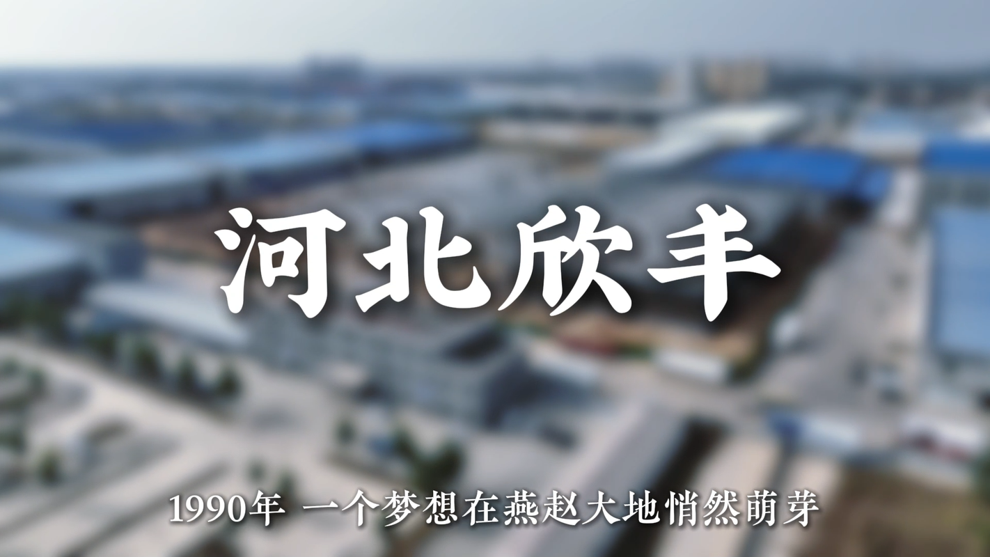 视频封面1