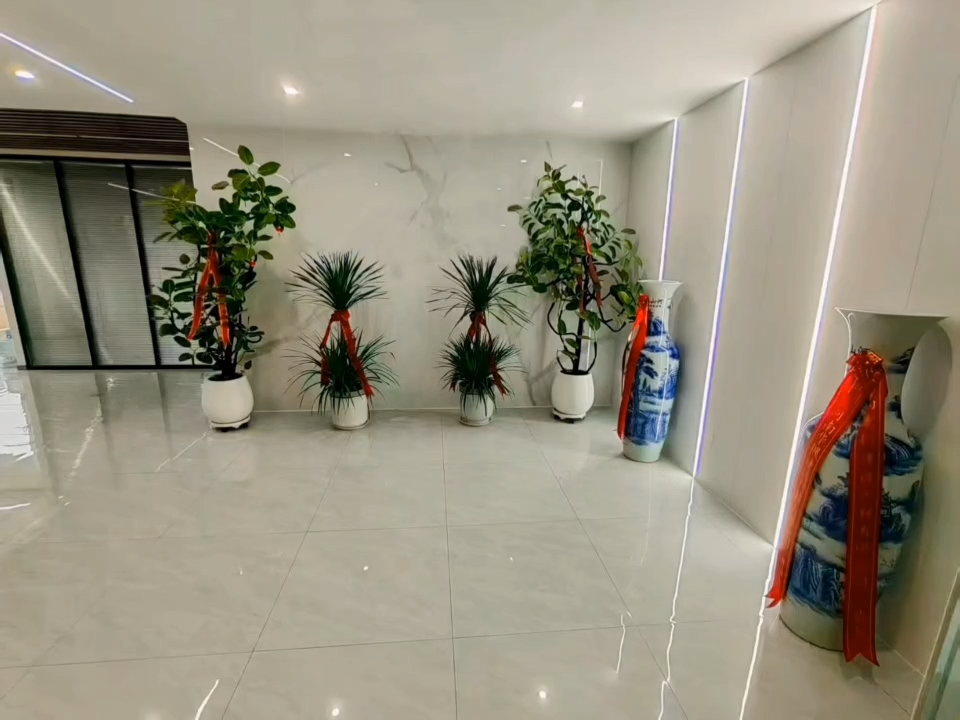 视频封面1