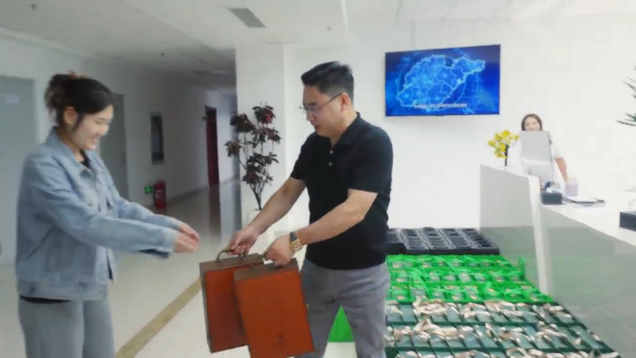 视频封面1